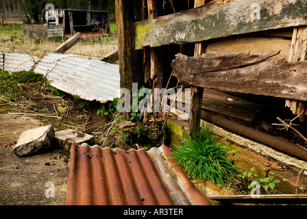 verfallenen Schuppen Stockfoto