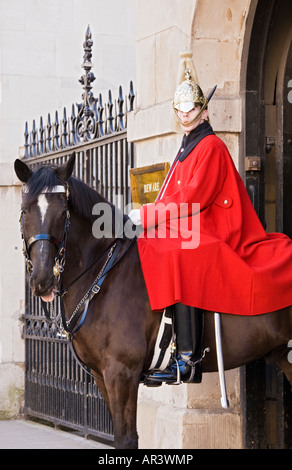 Royal Horseguard, Whitehall, London, UK Stockfoto