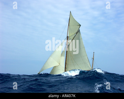 Die klassische Yacht Véronique verschwindet hinter einer Welle während der Feederrace Cannes - St Tropez 2007 Stockfoto