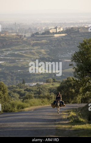 Mann mit jungen auf Esel außerhalb Fes, Fes, Marokko Stockfoto