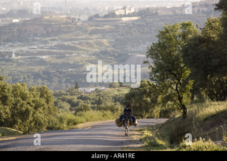 Mann mit jungen auf Esel außerhalb Fes, Fes, Marokko Stockfoto