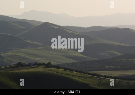 Grüngürtel von Fes, Fes, Marokko Stockfoto