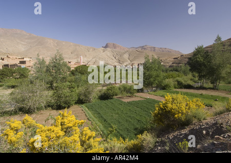 Route der Kasbahs, Dades Tal, Marokko Stockfoto