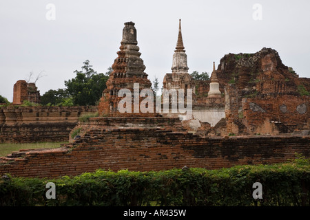 Stupas im Wat Mahathat im historischen Ayuthaya Park, Ayuthaya, Thailand Stockfoto