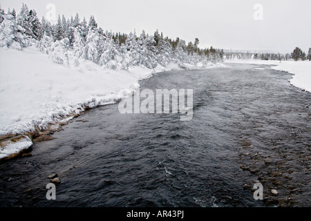 Yellowstone-Nationalpark im Winter Schnee Frost bedeckt Bäume am Firehole River bei Excelsior Spring Stockfoto