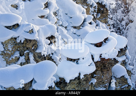 Yellowstone-Nationalpark im Winterschnee bedeckt Rock Mounds an Inspiration Punkt im unteren Wasserfälle canyon Stockfoto