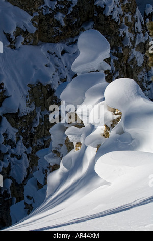 Yellowstone-Nationalpark im Winterschnee bedeckt Rock Mounds an Inspiration Punkt im unteren Wasserfälle canyon Stockfoto