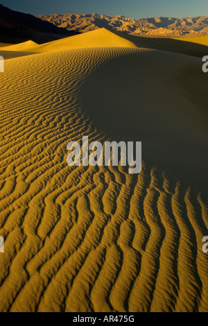 Sanddünen und Welligkeit Dessigns auf den Dünen Mesquite Flats nahe Stove Pipe Wells Death Valley NP Stockfoto