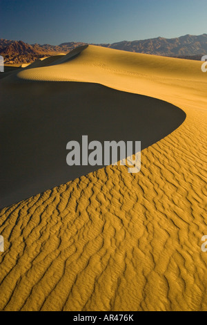 Sanddünen und Welligkeit Dessigns auf den Dünen Mesquite Flats nahe Stove Pipe Wells Death Valley NP Stockfoto