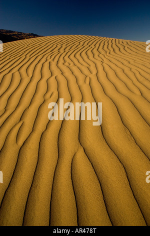 Sanddünen und Welligkeit Dessigns auf den Dünen Mesquite Flats nahe Stove Pipe Wells Death Valley NP Stockfoto