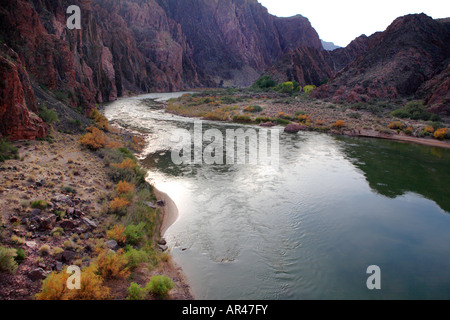 BLICK AUF DEN COLORADO RIVER UND INNERE GRAND CANYON AUS KAIBAB HÄNGEBRÜCKE AUF SOUTH KAIBAB TRAIL IN GRAND-CANYON-NATIONALPARK Stockfoto