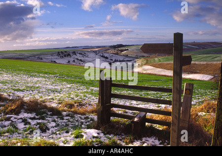 Winter auf der Yorkshire Wolds Stockfoto