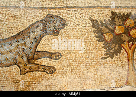 Figurative Bodenmosaik Darstellung einen Leoparden in Caesarea, Israel Stockfoto