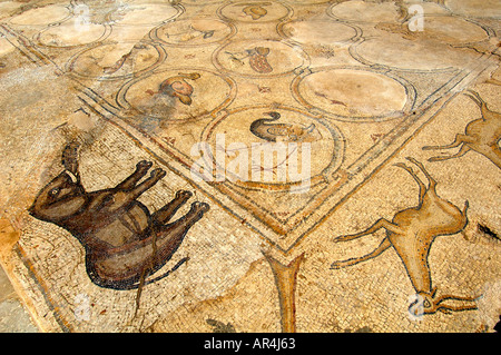 Figurative Bodenmosaik Darstellung von Tieren in Caesarea, Israel Stockfoto