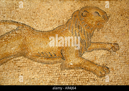 Figurative Bodenmosaik Darstellung eines Löwen in Caesarea, Israel Stockfoto