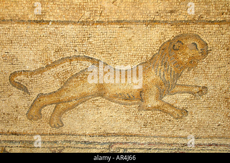 Figurative Bodenmosaik Darstellung eines Löwen in Caesarea, Israel Stockfoto