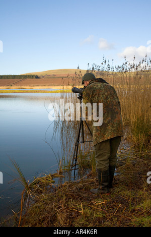 Twitcher & digiscope Vogelschutzgebiet, Loch von Kinnord, Muir von Dinnet, National Nature Reserve, die Königliche Gesellschaft zum Schutz der Vögel, Kirriemuir, Schottland Stockfoto