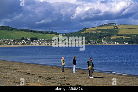 Delphine beobachten am Chanonry Point nahe Fortrose auf der Black Isle in Schottland Stockfoto