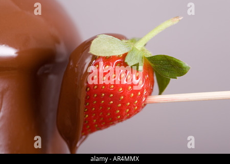 Eine Erdbeere in Schokolade bedeckt Stockfoto