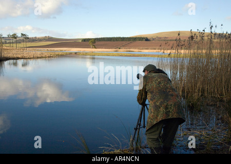 Bird Watcher, Loch von Kinnordy, Muir von dinnet National Nature Reserve Heiligtum, der Königlichen Gesellschaft für den Schutz der Vögel in der Nähe von Kirriemuir, Schottland Stockfoto