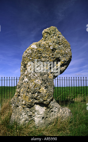 Die Könige-Stein, die eigentlich in Warwickshire Teil der alten Rollright Steine bei wenig Rollright in Oxfordshire steht Stockfoto