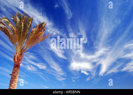 Strandblick, Hotel Sofitel Taba Heights, Taba Heights, Sinai-Halbinsel, Ägypten Stockfoto