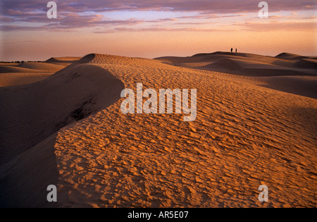 Zahlen über die Dünen in der Sahara in der Nähe von Douz Tunesien Stockfoto