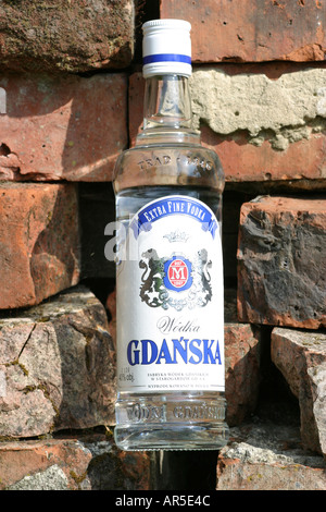 Flaschen echter polnischer vodka Stockfoto