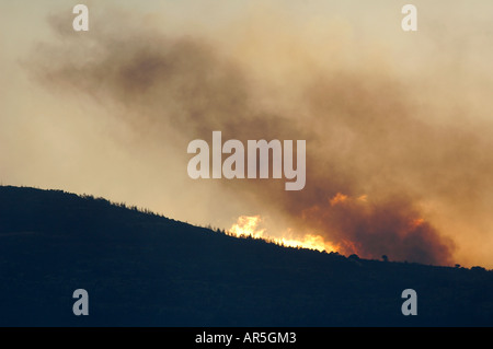 Flammen und dichter Rauch steigen während eines massiven Waldbrands in der Galiläa-Region auf, der durch den Hisbollah-Schuss aus dem Libanon im Norden Israels verursacht wurde Stockfoto