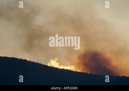 Flammen und dichter Rauch steigen während eines massiven Waldbrands in der Galiläa-Region auf, der durch den Hisbollah-Schuss aus dem Libanon im Norden Israels verursacht wurde Stockfoto