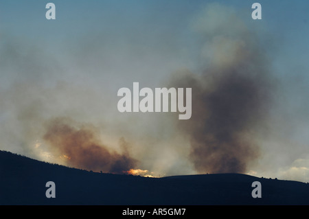 Flammen und dichter Rauch steigen während eines massiven Waldbrands in der Galiläa-Region auf, der durch den Hisbollah-Schuss aus dem Libanon im Norden Israels verursacht wurde Stockfoto