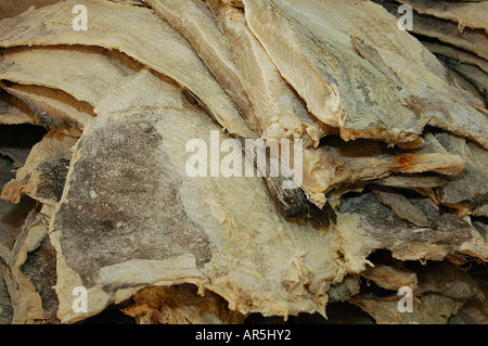 Haufen traditioneller gesalzener und getrockneter Kabeljau, in Portugal bekannt als Bacalhau Stockfoto