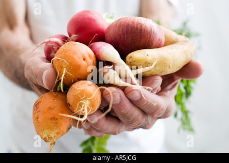 Mann-Betrieb-Gemüse Stockfoto