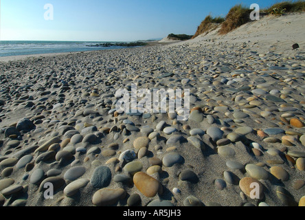 Stein Steine bei Praia do Cabedelo Beach in der Nähe von Figueira da Foz in Zentralportugal Stockfoto