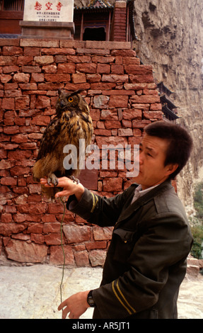 Referenzierter Eule thront auf der Hand eines Schutzes an Yungang Grotten buddhistische Tempel in der Nähe der Stadt Datong in der Provinz Shanxi. China Stockfoto