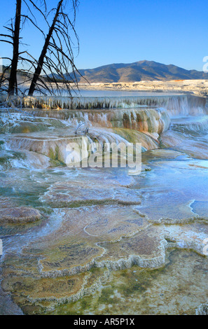 Mammoth Hot Springs, Yellowstone-Nationalpark, Wyoming, USA Stockfoto