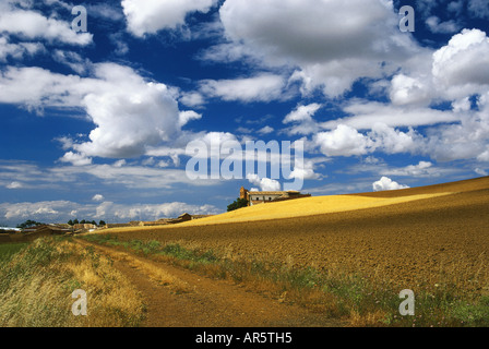 Kirche, Iglesia Santiago (16. Jahrhundert), Ledigos, Camino de Santiago, Provinz Palencia, Kastilien-León, Spanien Stockfoto