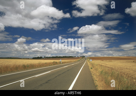 Mais-Feld und Straße, in der Nähe von Castrotierra, Provinz Leon, Kastilien-León, Spanien Stockfoto