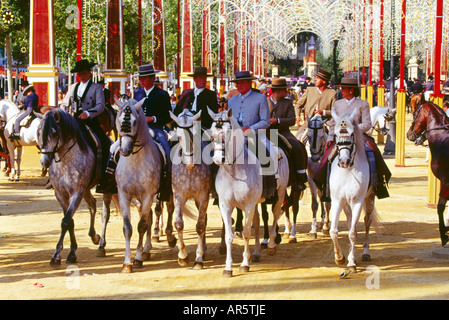 Pferdemesse, Feria del Caballo, Reiten, Jerez De La Frontera, Provinz Cadiz, Andalusien, Spanien Stockfoto