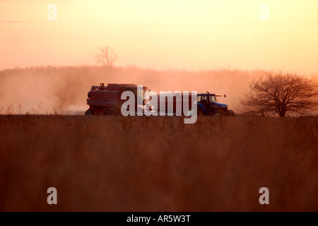 Ein Mähdrescher und ein Traktor arbeiten zusammen, um eine Ernte von Sojabohnen auf einem kanadischen Familienbetrieb zu ernten, um die Ernte vom Feld zu bringen, bevor sie verdirbt. Stockfoto