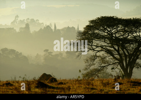 Morgen Nebel Nebel Votorantim Sao Paulo Brasilien 30. Juni 2006 07 28 am Freitag Stockfoto