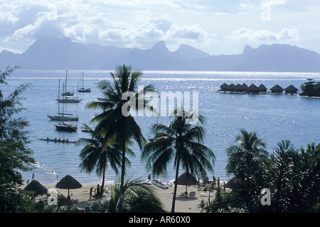 Kokospalmen, Yachten & Moorea, Blick vom Sofitel Maeva Beach Resort, Tahiti, Französisch-Polynesien Stockfoto