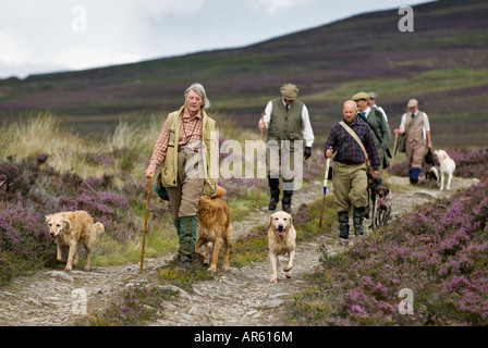 Hundeführer und Wildhüter zu Fuß über ein Heidekraut bedeckt schottischen Moor nach getriebenen Moorschneehuhn in der Nähe von Aviemore schießen Stockfoto