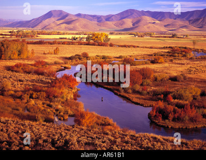 USA Idaho Silver Creek zu wahren weltberühmten fliegen Angeln Frühjahr Creek in der Nähe von Sun Valley Conservancy Naturgrundstück Stockfoto