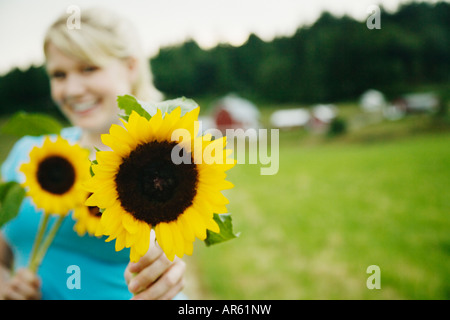 Frau halten Sonnenblumen auf Bauernhof Stockfoto