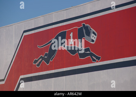 Sarasota Kennel Club Florida Greyhound Racing Hund Rennbahn Parimutuel Wetten Pari-Mutuel Glücksspiel Gaming-Wette Stockfoto