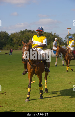 Sarasota Florida Sarasota Polo Club Spieler Pferd Stockfoto