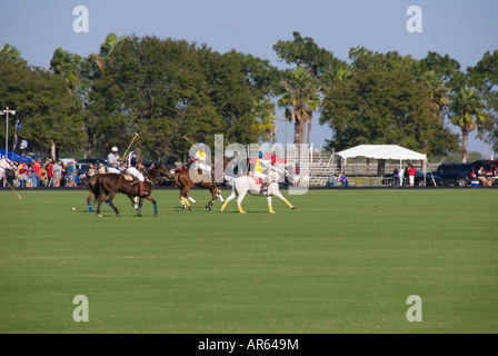 Sarasota Florida Sarasota Polo Club Pferde laufen Stockfoto