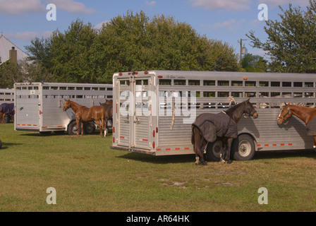 Sarasota Florida Sarasota Polo Club Pferde gebunden zum weichen Sonnenlicht Sport outdoor Freizeit trailer Stockfoto