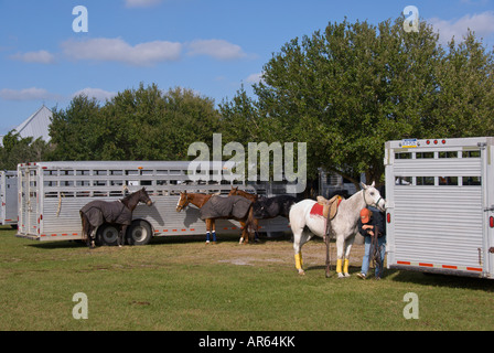 Sarasota Florida Sarasota Polo Club Pferde gebunden zum weichen Sonnenlicht Sport outdoor Freizeit trailer Stockfoto